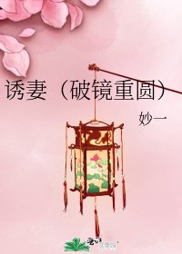 诱妻(破镜重圆)